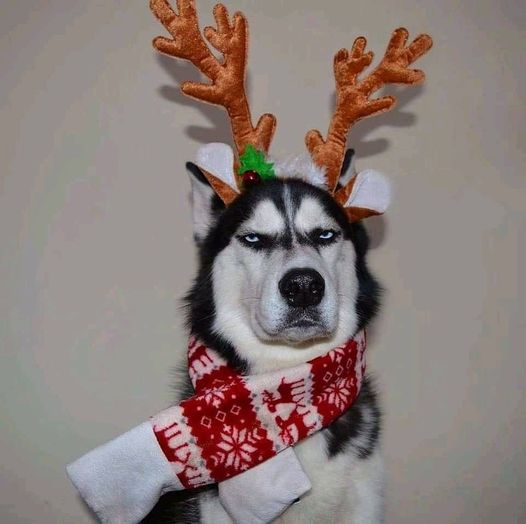 Картинки на 30.12.2021