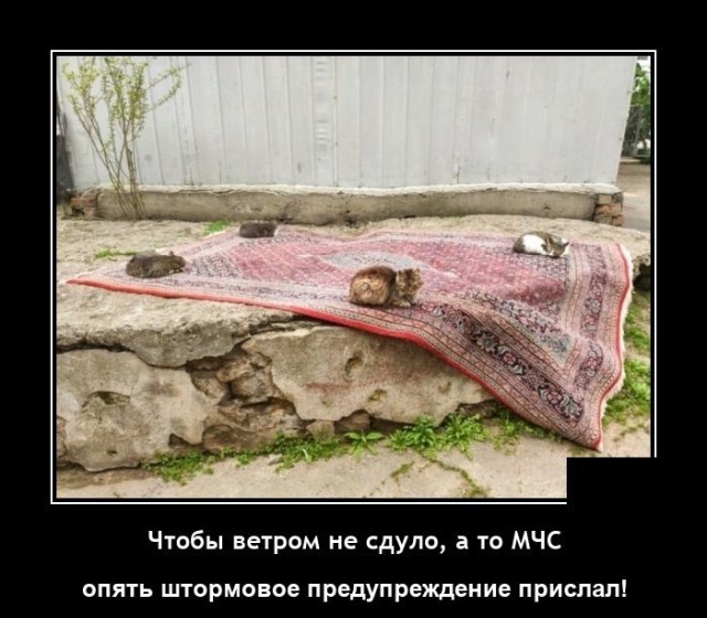 Картинки с надписями 17.06.22