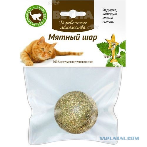 Кошачья наркомания