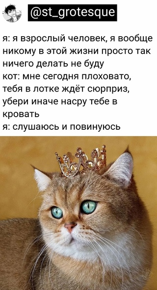Немного картинок для настроения - 112