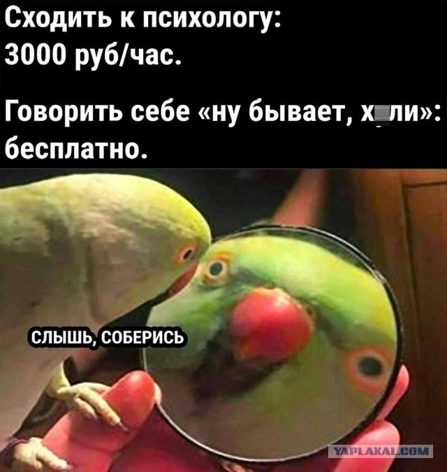 Картинки аморальные и всякие разные - 43