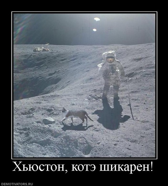 История Луноспоров