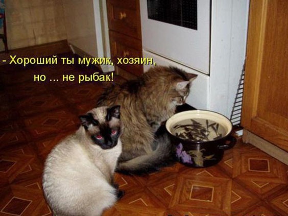 Так себе картинки 07.01.2023