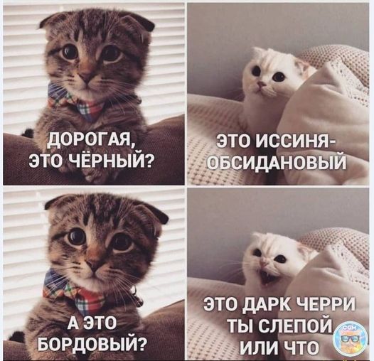 Картинки и мемы для настроения - 119