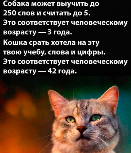 Так себе картинки 03.05.23