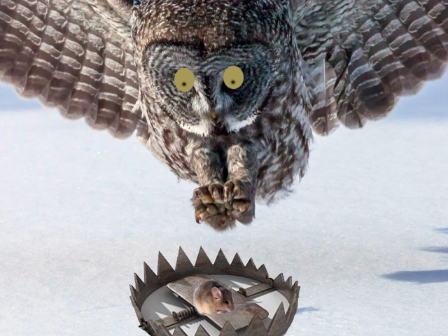 Мышка и сова