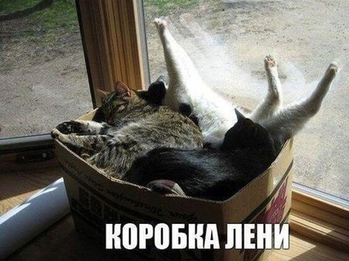 Так себе картинки 17.06.23