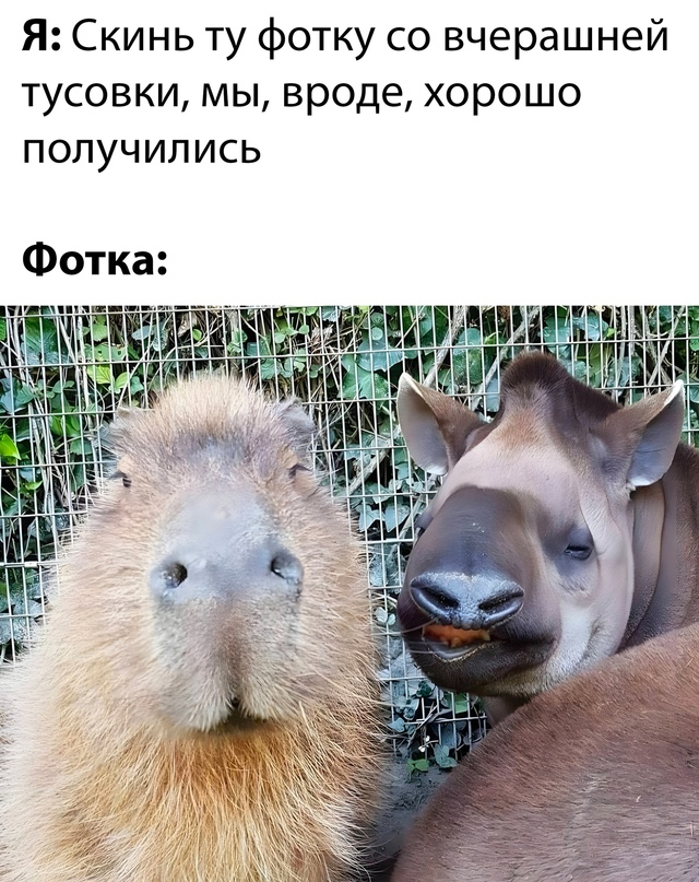 Юмор в картинках и без