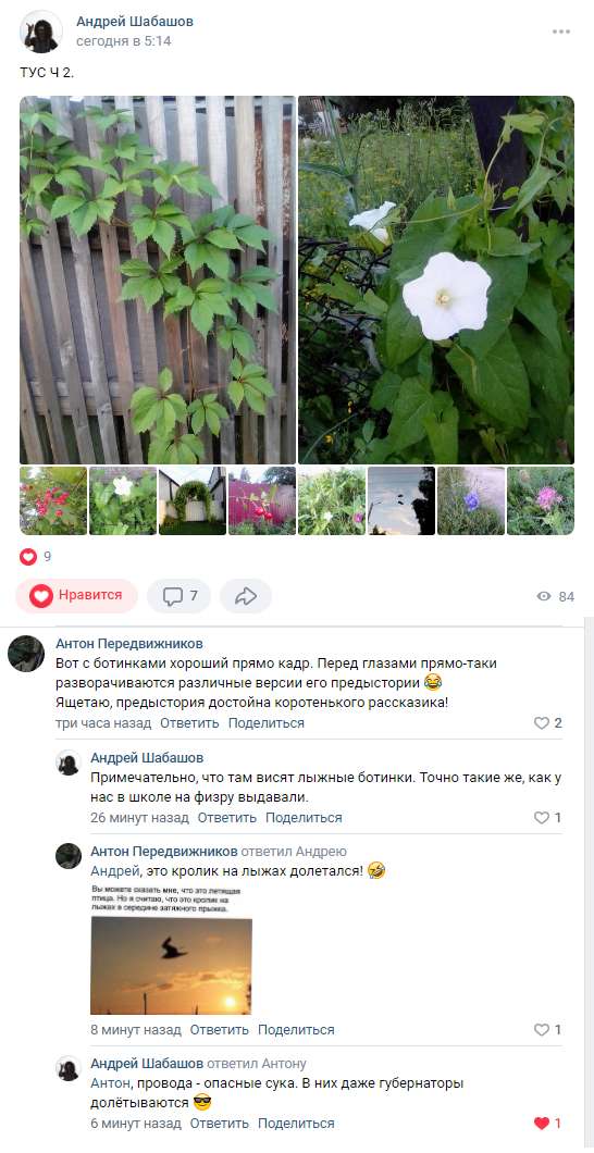 Литературная беседка