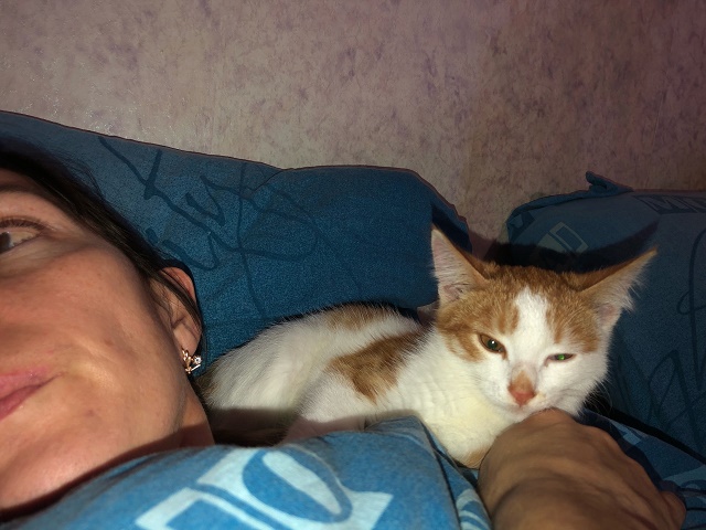 Опоздал к котовторнику, но все же...