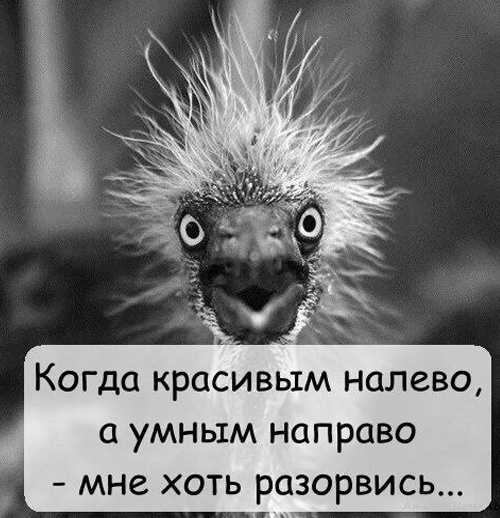 Так себе картинки 29.10.23