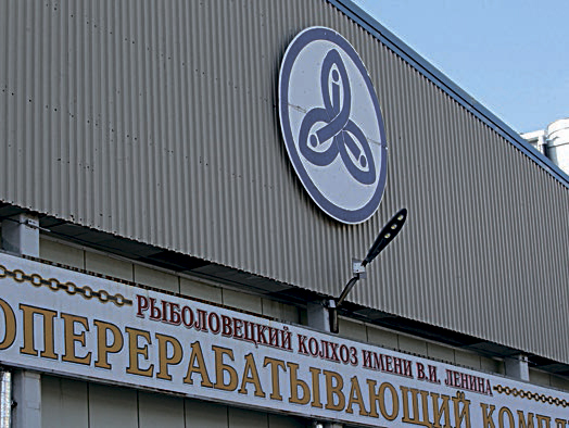 Синюю или красную, какую выберешь ты?
