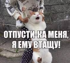 Когда пришел в автосалон в 2023 году покупать авто