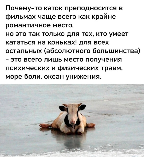 Пятничные картинки 19.01.2024
