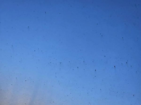 Новый Cybertruck ржавеет всего за несколько дней пребывания под дождем