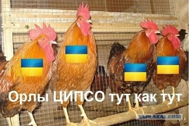 Привет из Германии
