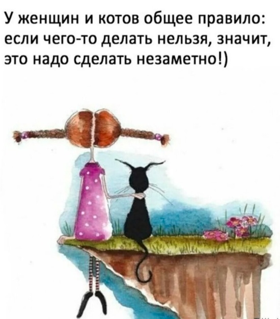 Весёлый полтишок 08.04.24