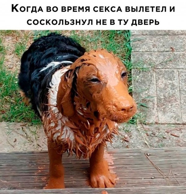 Так себе картинки 15.07.24