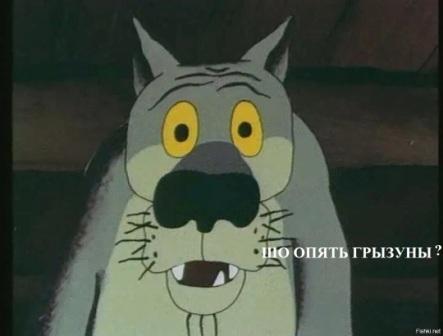 "Мы все тонем. Тут всё тонуло нах*й"