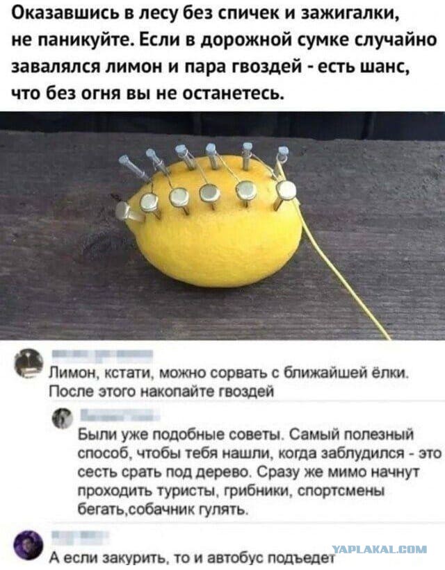Полезное видео о выживании в лесу