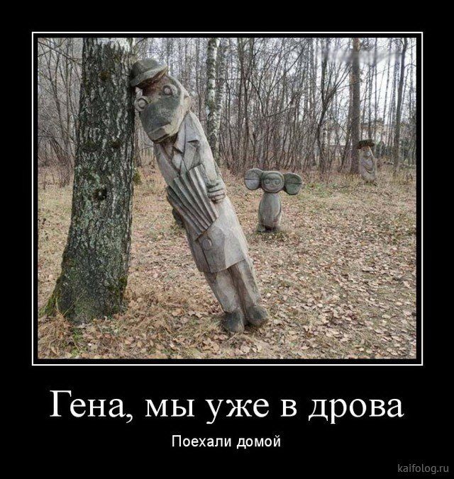 Прикольные и просто красивые картинки 11.04.2025