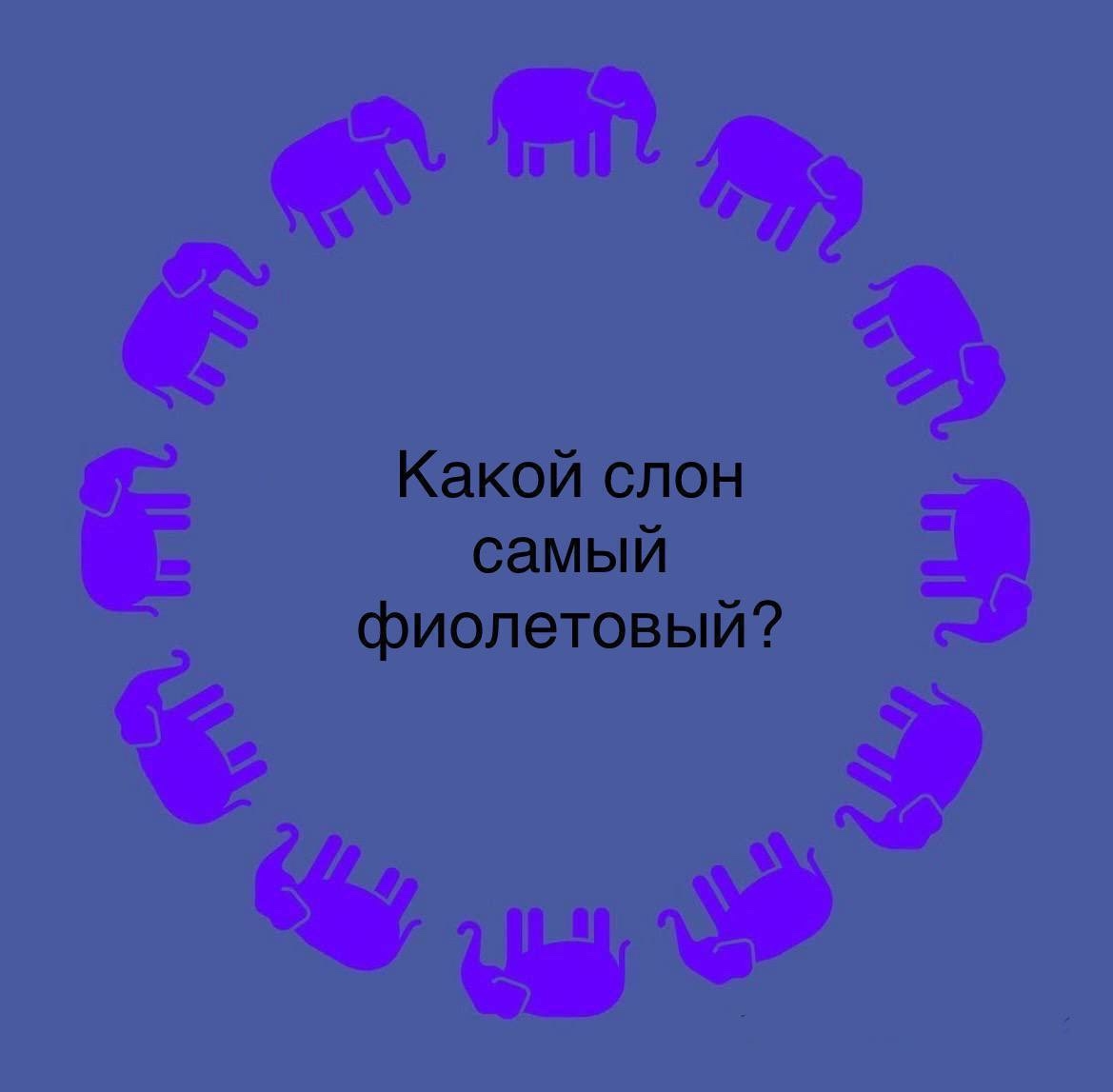 20530546.jpg