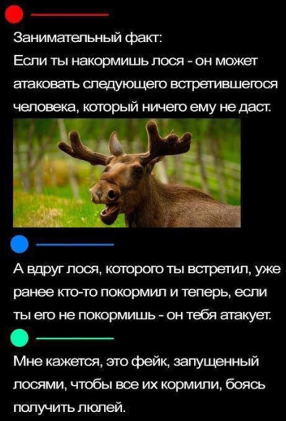 Пятничные бояны