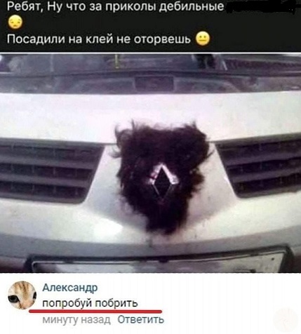 Мой кот
