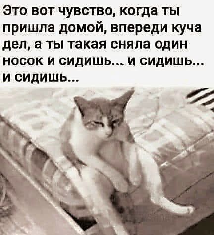 Смещались в кучу буквы, рамки, картинки