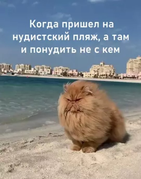 Картиночки, баянчики 19 марта