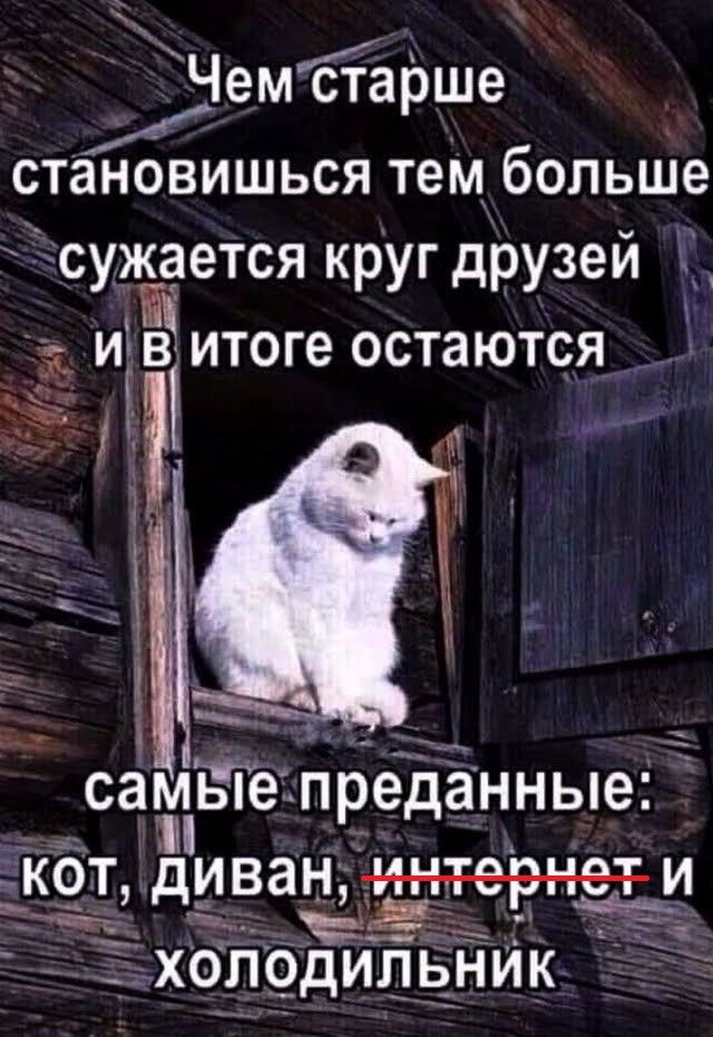 Картинки для деградации 173 (разной степени свежести)