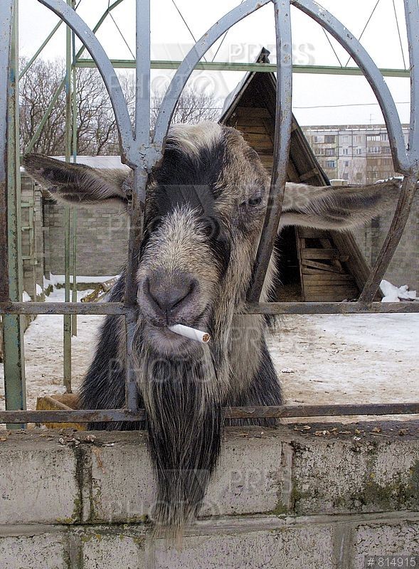 Классика