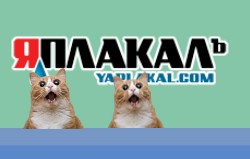 Я постарел или кота модернизировали?