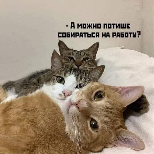 Картинки на среду