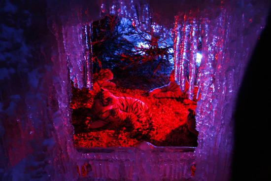 Ледовый дворец Швейцарии (14 фото)