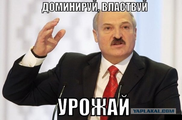 Украина подтягивает свои войска к границе с РФ