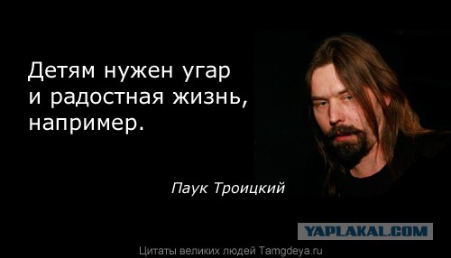 Футболки например