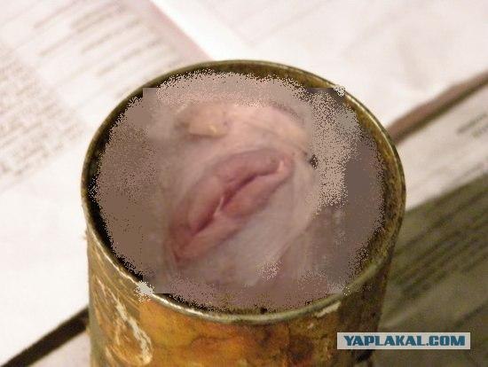 Тушенка 1985!