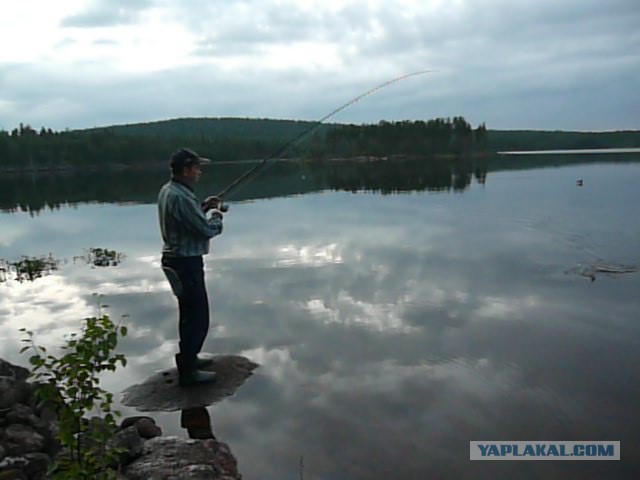 Две недели на Иовском водохранилище. Соколозеро.