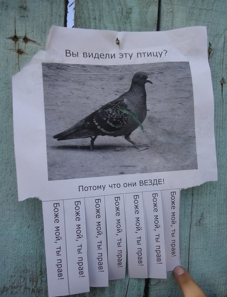Объявления, анонсы из сети.