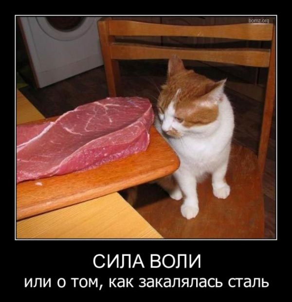 Веселые картинки.
