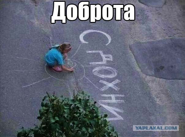 Картинки, вроде смешные.