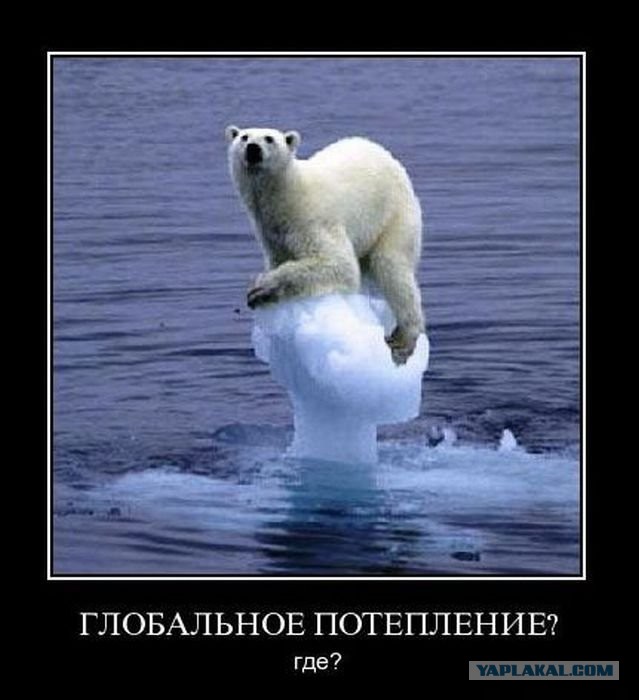 Веселые картинки
