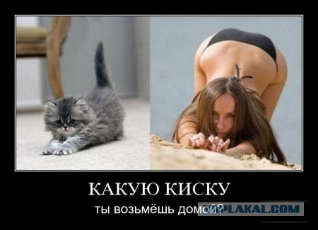 Захожу в трамвай, а там...