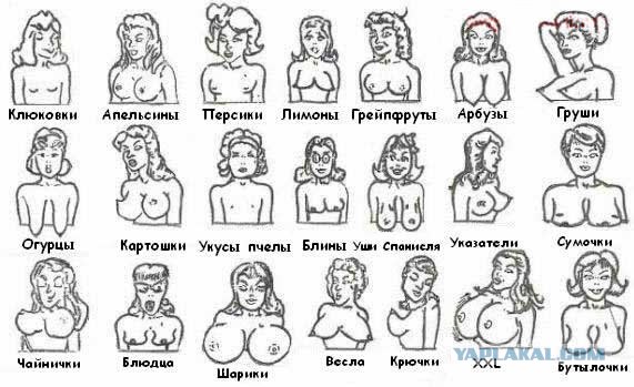 Девушки на Z-Games (18+)