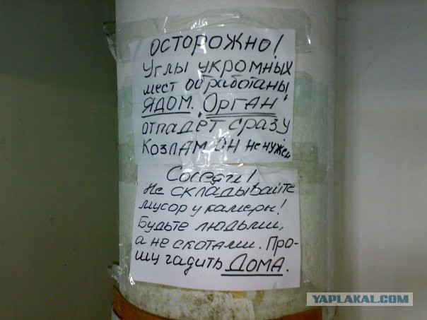 Смешные картинки №...дцать