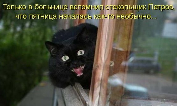 Котэподборка