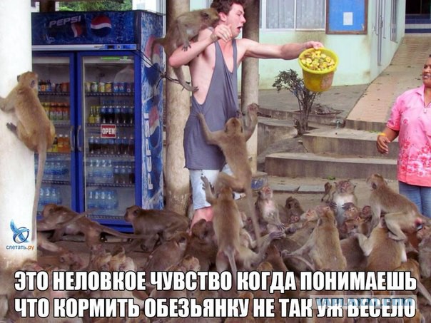 Подборка картинок из Паттайи