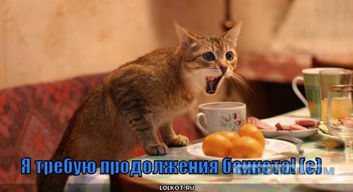 «Ружье убивает одного, а язык девятерых»