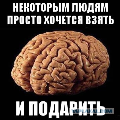 Жесткий диск.